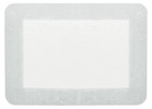 Island Wound Dressing  bordered Gauze  8  X 6   Sterile  30 Per Box 