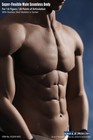 Phicen 1 6 M33 Flexible Seamless Male Muscular Figure Steel Skeleton Tbleague