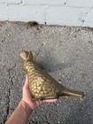 Solid Brass Male   Female Pheasant Bird Sculptures Vintage Japan Antique
