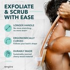 Long Handle Bath Brush For Shower - 20 Inch - Back Brush  Shower Brush Back D   