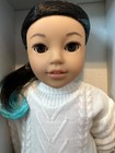 American Girl Girl Of The Year Corinne Doll Nib Read
