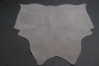 100  New Cowhide Rugs Area Cow Skin Leather  53  X 50   Cow Hide Sa-169