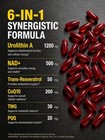 Urolithin A 6-in-1 Mitochondrial Support Supplement For  Energy muscle Strength