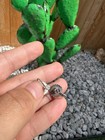 Native American Jewelry Earrings