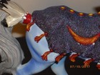 Horse Of A Different Color - Ghost Dancer     Free Shipping 