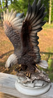 Bald Eagle Homco Masterpiece Porcelain Figurine 1979 Home Interior 11 5  H