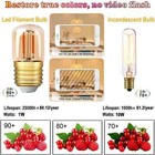 Low Wattage Led Light Bulb 10w Equivalent 1w E26 Mini Dim Edison Bulb Vintage R