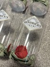 Hendricks Gin Promotional Cup Rose Cucumber Set Of 5