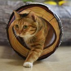 Pet Tunnel Foldable Play Rest Ferret Play Rest Tunnel Toy Reusable