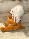 Ruggles Ty Beanie Baby Boos Bellies Dog  6 Inch  Puppy Plush With Tag Clean