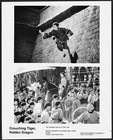 Crouching Tiger Hidden Dragon Lot 2 Original Movie Promo Photos Martial Arts