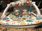 Fisher-price Infant Baby Bouncer Seat With Toy Bar  Multicolor White Gray