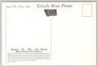 Glacier National Park Montana  Going To The Sun Road Sheer Cliffs  Vtg Postcard