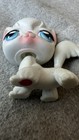 Littlest Pet Shop Lps   9 White Angora Cat With Blue Eyes Long Hair Hasbro