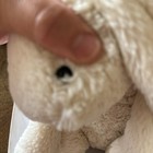Jellycat Bashful Bunny Rabbit White Cream Pink Nose Stuffed Plush Floppy 11   