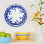  2 Pcs Spring Hanging Pan Hook Plate Holders Wall Hangers Clothes Racks