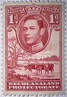 Travelstamps  1938 Bechuanaland Protectorate  125  Cattle  1d  Mint  Og Mognh