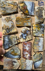 Assorted Plume Agate  Cabochon Slabs  Preforms  Slices  14 Pcs  Flat 83