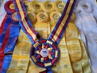  the Oaks Classic  Rare A Circuit Horse Show Ribbons Awards Equestrian Events