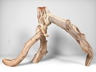 19  Manzanita Driftwood Branch  Reptile Habitat  Aquascaping Decor