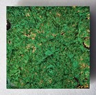 Stunning Stabilized Green Maple Lace Burl Bowl Blank  1577  6 5 8  X 2 1 16 