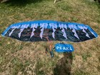 Flysurfer Kiteboarding - Peak 4 - 5m Kite   Bar