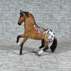 Breyer Custom Painted Stablemate Bay Appaloosa By Kimberly Bleecker  Alborozo