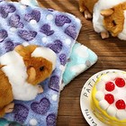 3pcs Small Animal Fleece Bed Pads Bunny Guinea Pig Warm Sleeping Mats