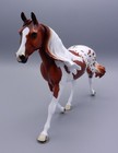 2026 Dah Palouse - Fcm Le Chestnut Pintaloosa - Satin Finish - Peter Stone Horse