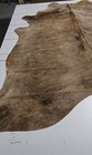 High End Brazilian Xlarge Exotic Brindle Natural Cowhide Rug skin  Ck-03