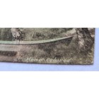 The Albertype Co Vintage Hand Colored Landscape New Hampshire Echo Lake Mountain