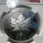 2019 Canada  5 Silver Maple Leaf 1 Oz  9999 Ngc Modpf70 Fdi Pride Of Two Nations