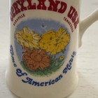 Opryland Usa Tennessee Mini Souvenir Vintage 3 5    Creamer Pitcher