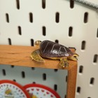 Miniature Loggerhead Turtle Realistic 2  Mini Figure Toy Dollhouse Aquarium