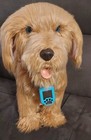 Sky Rocket My Fuzzy Friend Moji Interactive Labradoodle - Dog And Collar Only