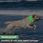 Led Dog Collar Light Up Usb Rechargeable Waterproof Reflective Night Safety