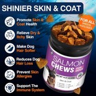 Omega 3 Skin And Coat Supplement For Dogs 200 Chews Dog Fish Oil Supplements Wit