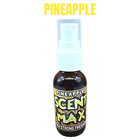 Scent Max Extra Strong Air Freshener Spray  Home   Car Air Freshener  1oz Deal