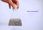2 Large Fresh Eucalyptus Shower Bundle  Real Eucalyptus   Free Lavender Sachet