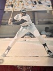 Vintage 1968 Poster Willie Mays Sf Giants Baseball Sports Illustrated 24 X 36 