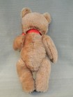Vintage 1970s Steiff Golden Teddy Bear  Jointed  Ear Tag  Excellent Condition