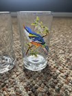 Barware Mcm Juice Glasses Tumblers Exotic Tropical Set Of 3 Birds Indonesia