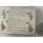 Vtg Lot Of 2 - Garden Club Flower Holder Frog Copper Tone Base Sharp Brass Pins