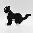 Hansa Black Kitten 16 Bh6487 New Realistic Plush Animals From Japan