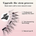 Reusable Magnetic Eyelashes With Applicator Kit - 1 Pair  pack Of 1   Black2