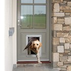 Ideal Pet Products Designer Series Ruff-weather Pet Door Extra Large 9 75 X 17