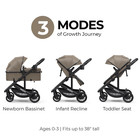 Nestro 516m 2-in-1 Convertible Infant Stroller  Pramette Mode  Brown