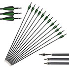 12 24x 30  Carbon Arrows Sp500 Archery Shooting Hunting Compound Recurve Bow Tip