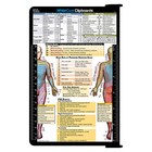 Authentic Whitecoat Clipboard - Physical Therapy Edition
