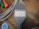 12-lead Ecg Cable Set Trunk   Limb   V-leads Snap Aha iec